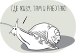 может ли быть юридический адрес в квартире